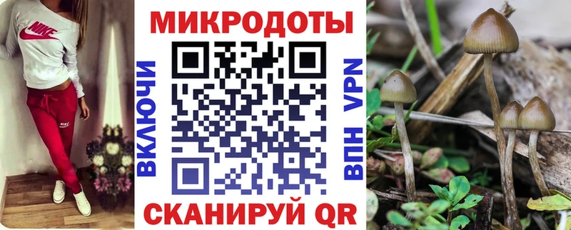 закладки  Чекалин  Галлюциногенные грибы мицелий 